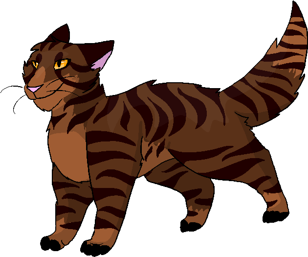 Toyger Manx Cat Whiskers Tabby Cat Domestic Short-haired - Cartoon (800x600)