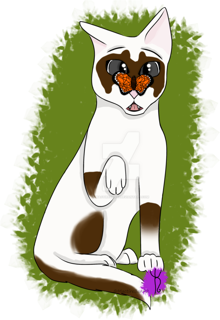 Banditshade Full Body {request} By Mactireban92 - Drawing (774x1032)