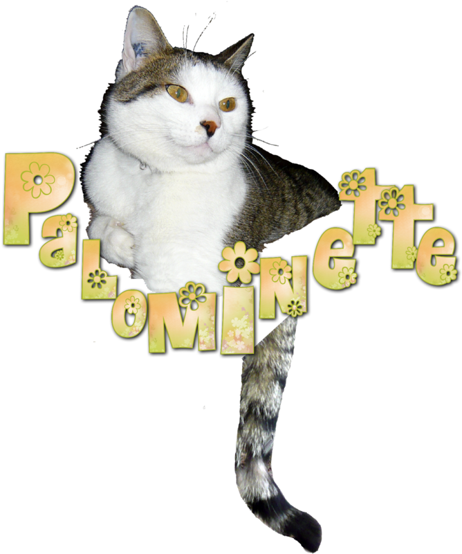 Cartes Pour Mon Anniversaire - Domestic Short-haired Cat (676x800)