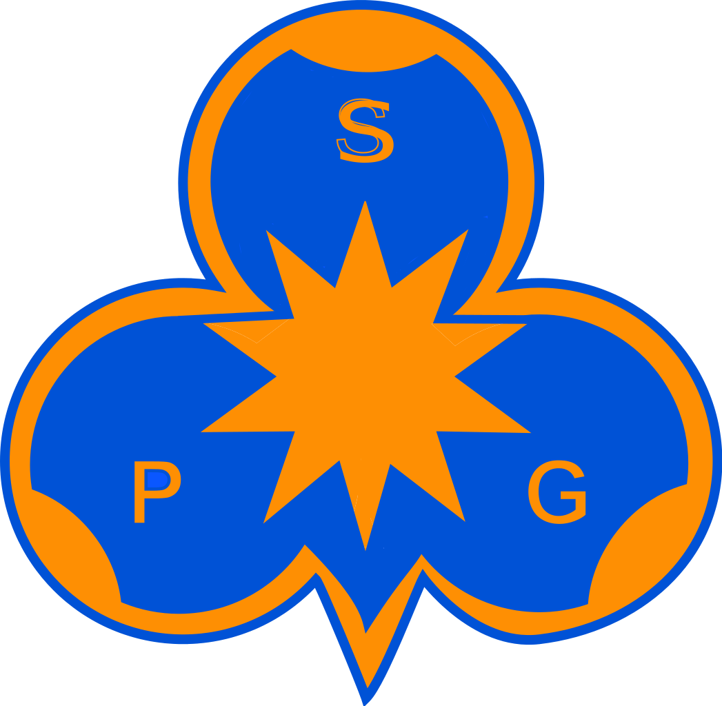 Surinamese Girls Guides' Council - Dayton Children's Hospital Logo (1047x1024)