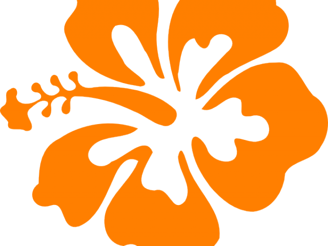 Orange Flower Clipart Hibiscus - Hibiscus Clip Art (640x480)