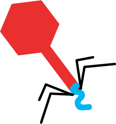 Ian Symbol Virus Inserting Dna - Illustration Of A Virus (374x400)