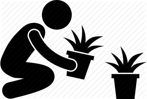 Person Icons Home - Flower Decoration Icon (512x347)