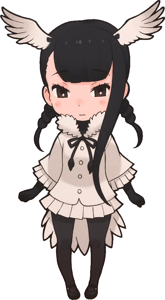 Image Chibi Kyou Shou Png Black Bird Wiki Fandom Powered - Australian White Ibis Kemono Friends (531x962)