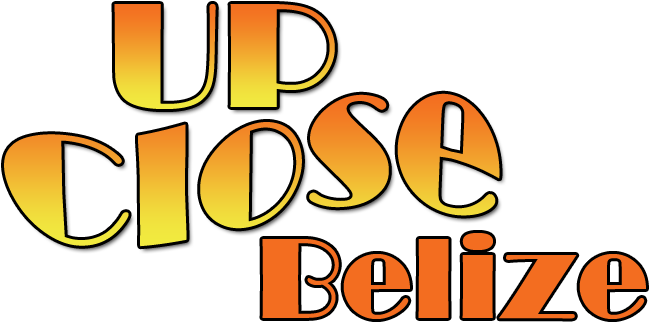 Upclose Belize Logo - Illustration (780x462)