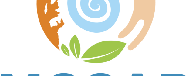 Belize Fisheries Department Logo 4 By Antonio - Mccap Belize (670x250)