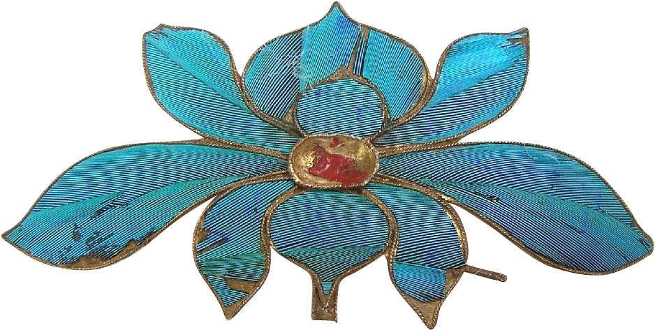 Chinese Kingfisher - Poinsettia (937x937)