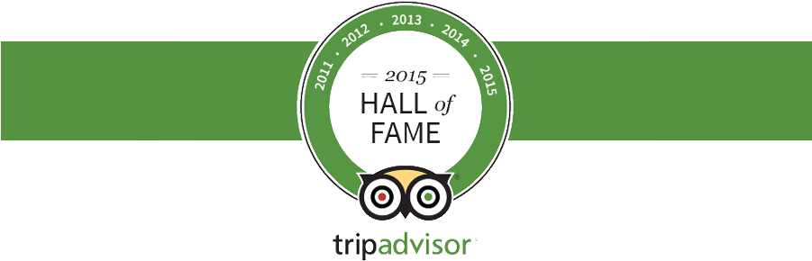 Tripadvisor Hall Of Fame Award - Trip Advisor (900x313)