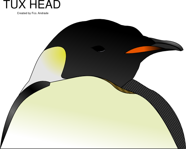 Penguin Drawing Head (600x481)