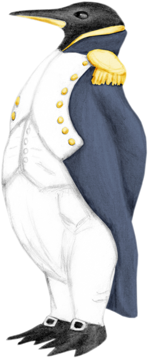 Emperor Penguin Drawing At Getdrawings - Emperor Penguin (800x1375)