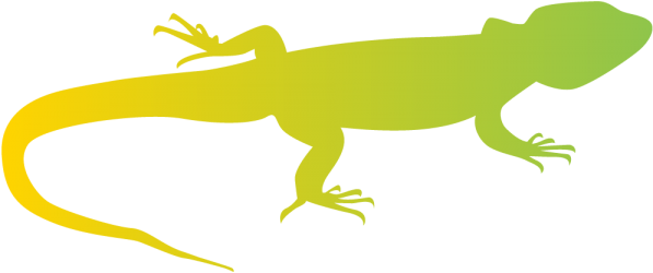 Ucla Lab School (1000x429)