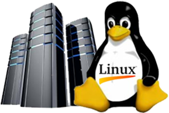 Linux Hosting Clipart Hosting Png - Linux Penguin (800x800)