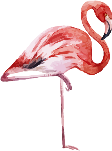 Event Host Emcee - Watercolor Flamingo Png (600x600)