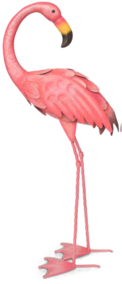 Flamingos Bird Illustration - Flamingo Png (541x609)