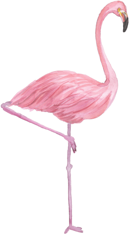 Personalized/monogrammed - Flamingo (512x924)