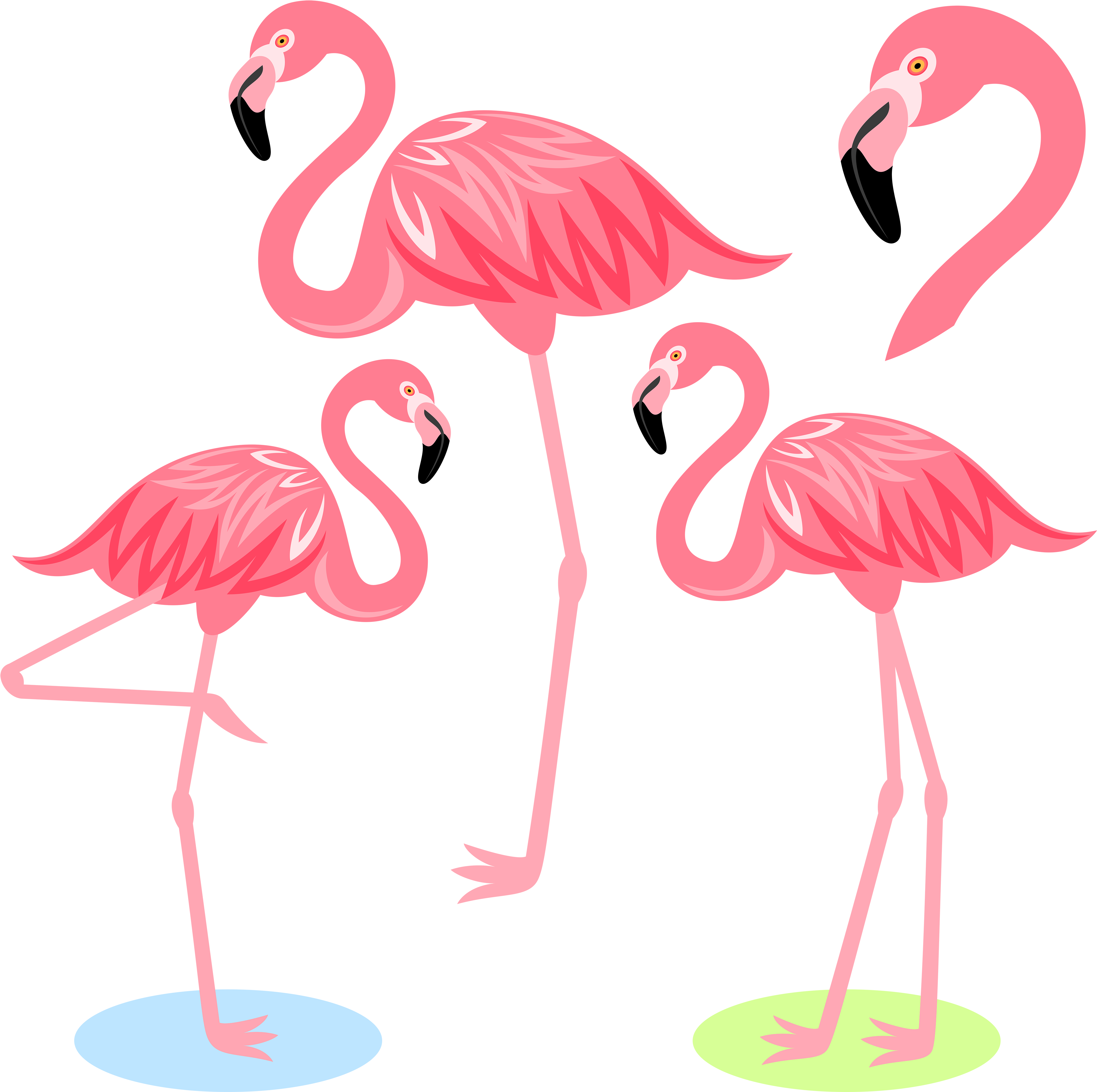 Flamingo Bird Illustration - Flamingo Bird Illustration (4574x4500)