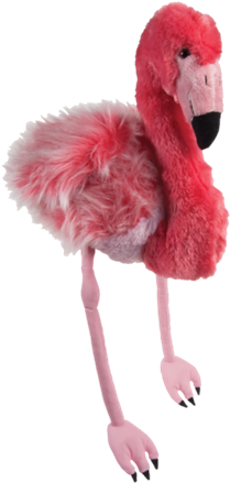 Meet This Year's Mascot, “fiona” The Pink Flamingo - Greater Flamingo (360x537)