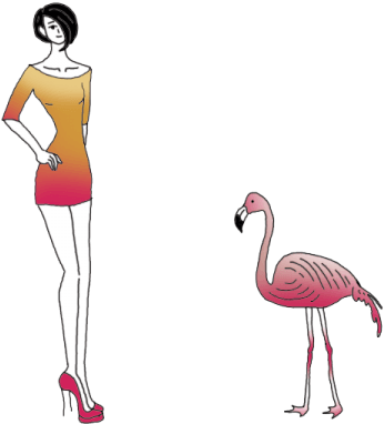 Flamingos - Greater Flamingo (450x450)
