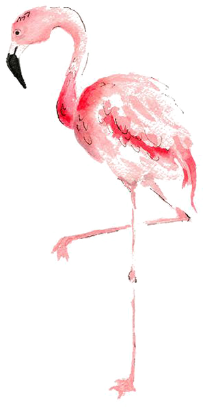Flamingo Watercolor Painting Drawing - Flamingo Watercolour (564x730)