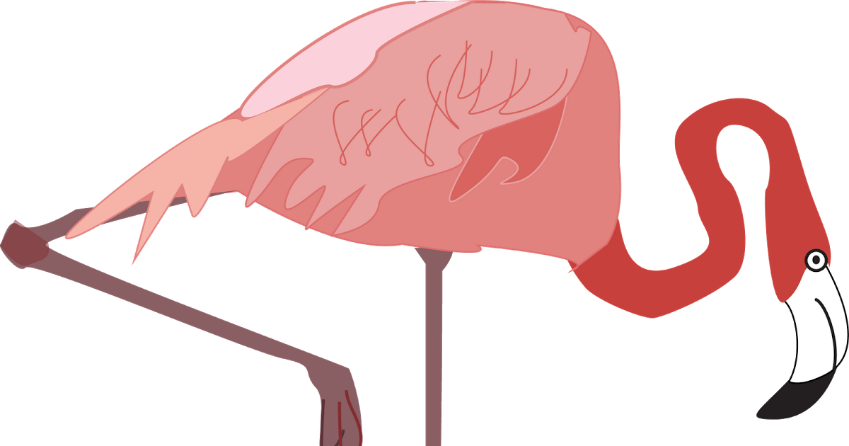 Water Bird (1200x630)