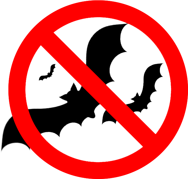 Call Us For A Free Estimate 905 960 - No Accidents (672x672)