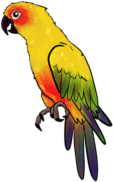 Bird, Animal, Birds, Nature, Feather, Parrot, Yellow - ภาพ นก แก้ว Png (415x640)