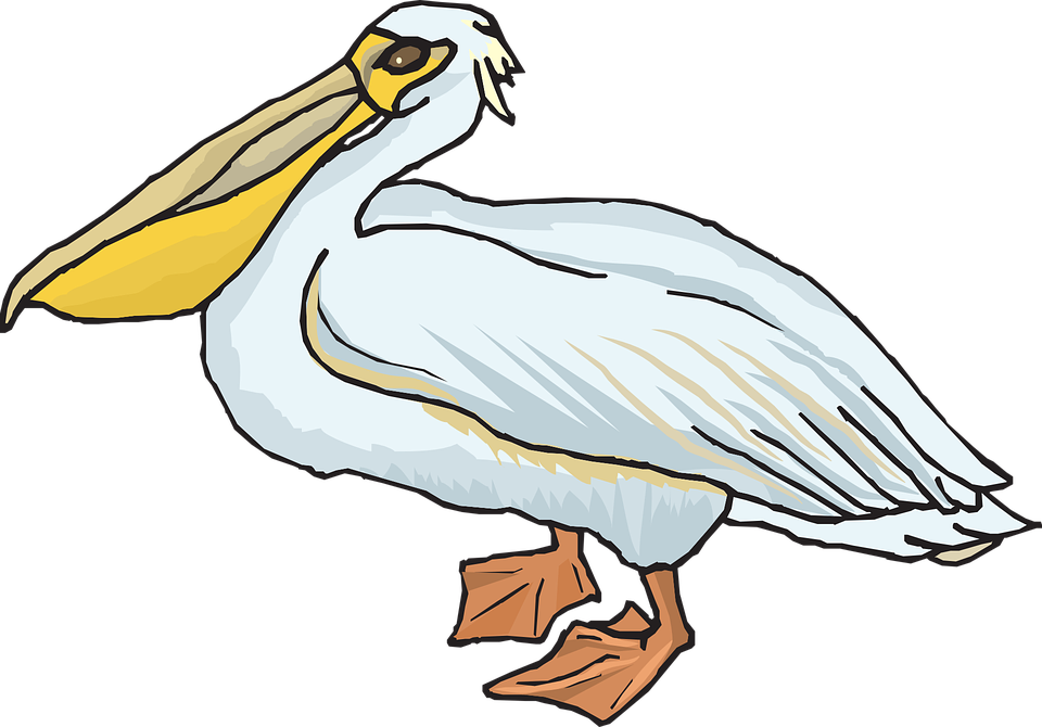Sea Bird Clipart Transparent - Pelican Clipart (960x670)