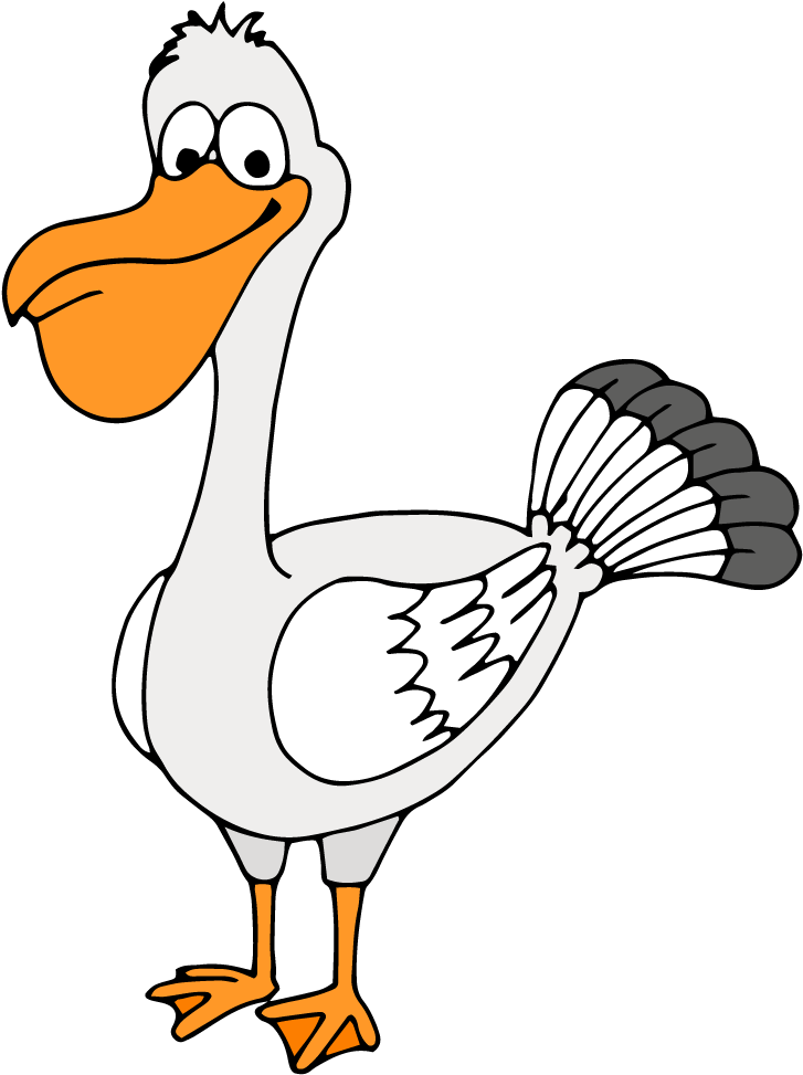 Duck Goose Bird Common Ostrich Chicken - Bird (1064x1096)