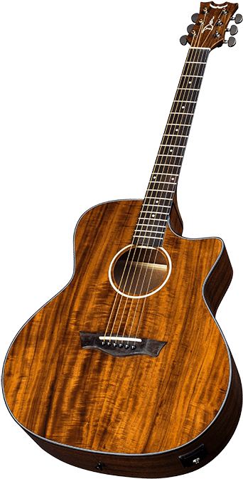Acoustic Guitar Clipart Name - Ibanez Rg7321 (1600x690)