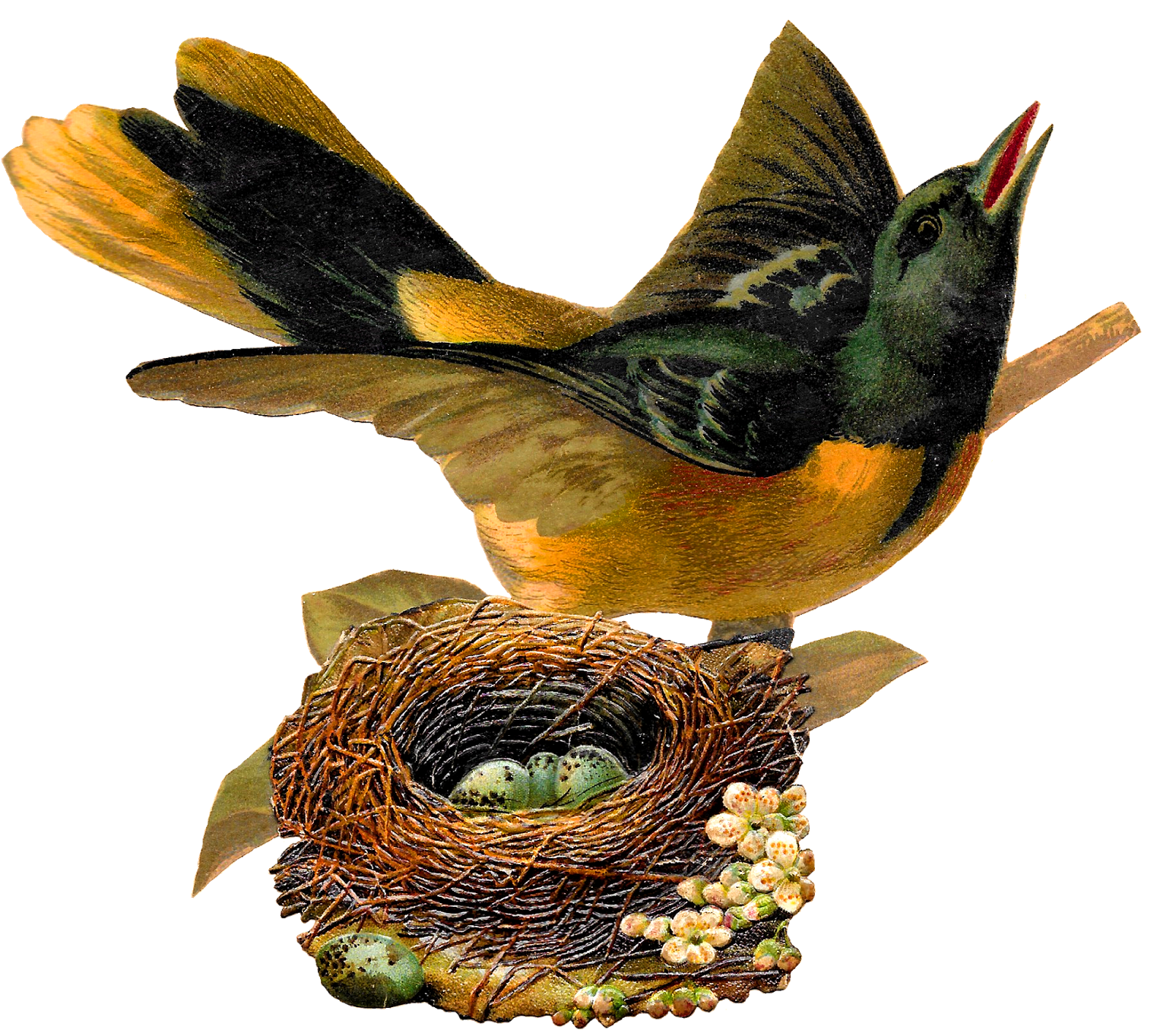 Bird Nest Eggs Oriole Image Artwork Illustration Clipart - Bird In Nest Illustration (1600x1437)