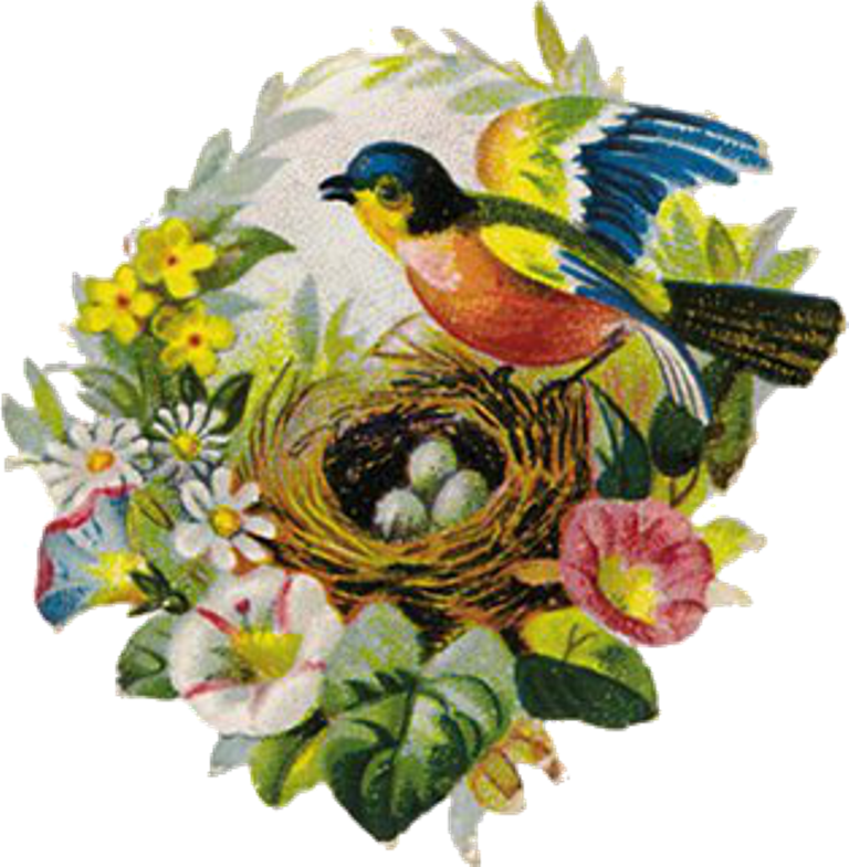 10 Vintage Bird/nest Images - Vintage Bird With Flowers And Nest Pendant Glass Pendant (768x785)