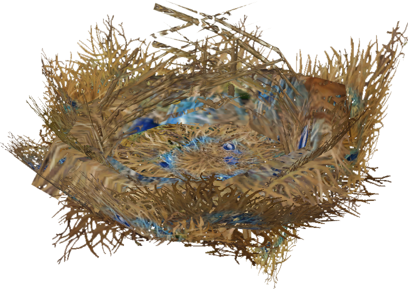 Satin Bowerbird Nest - Satin Bowerbird (815x815)