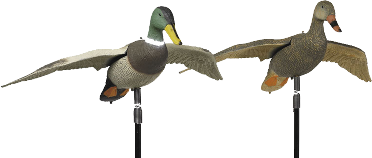 Life Size With A Spring Type Attachment For Wind Action - Mallard (1600x1417)