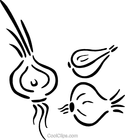Onions Royalty Free Vector Clip Art Illustration - Illustration (429x480)