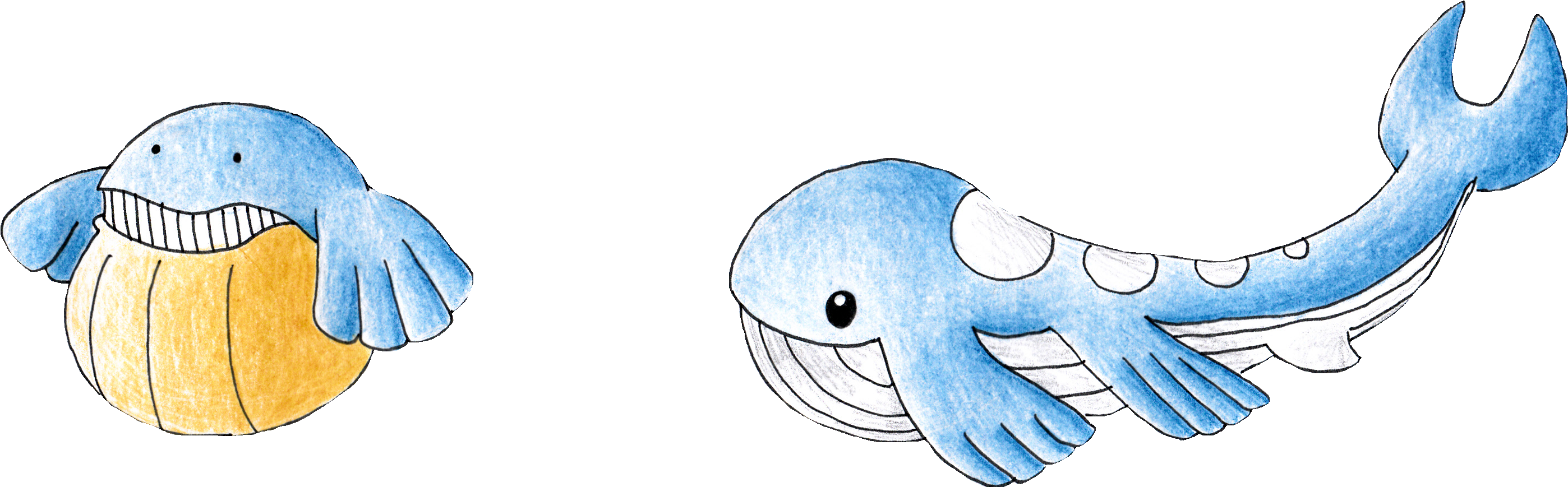 Wailmer Wailord - Illustration (3504x2480)