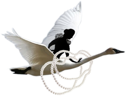 They Flew Over Fields, Mountains, Rivers And Oceans - Passing Clouds (437x337)