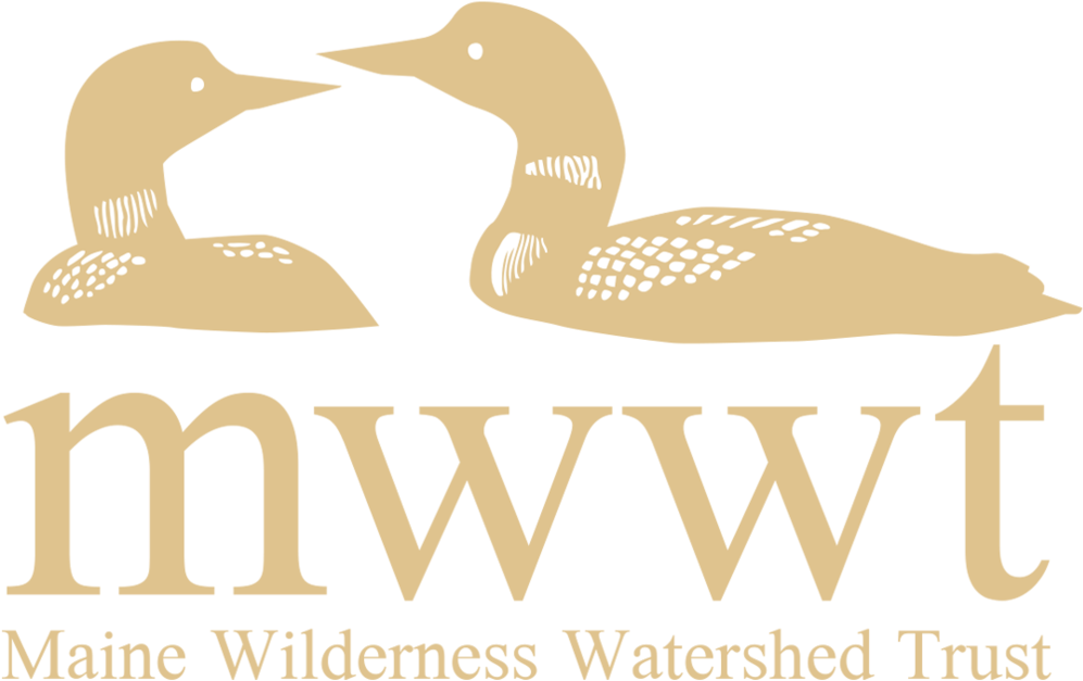 The Maine Wilderness Watershed Trust - The Maine Wilderness Watershed Trust (1000x667)