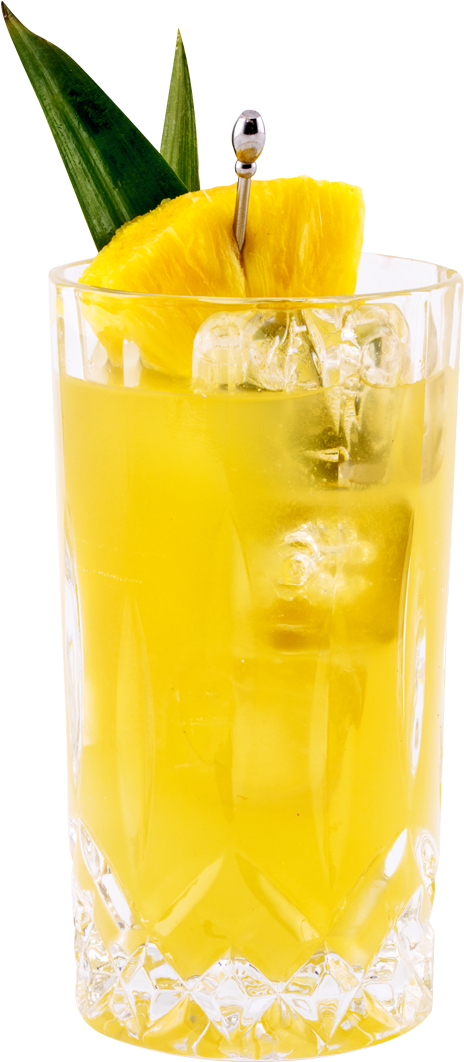 Around The World Gin & Juice - Shikanjvi (493x1078)