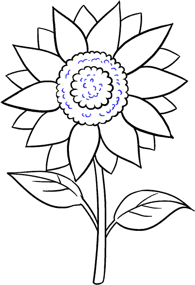How To Draw Sunflower - Easy To Draw Sunflower (678x600)