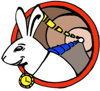 At Cern, Particles Circle The Lhc Over 11000 Times - Cern White Rabbit Project (360x360)