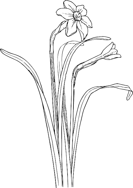 Drawing, Flower, Cartoon, Plant, Garden, Bush - Flower With Stem Drawing (451x640)