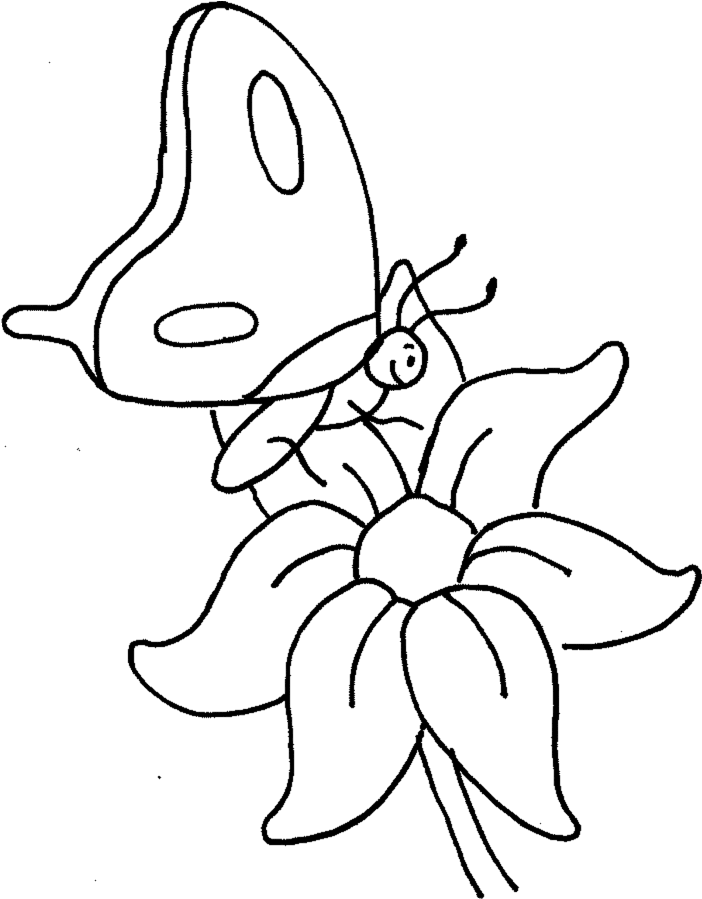 Perfect Coloring Pictures Of Flowers And Butterflies - Butterfly On A Flower Coloring Pages (715x900)