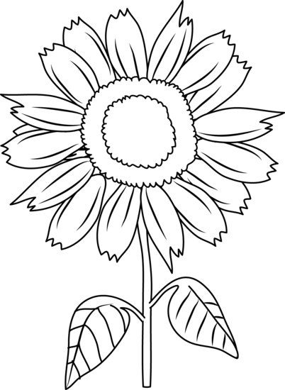 Coloring Book For Children, Flower Sunflower Royalty - Clip Art Of Sunflower (402x550)
