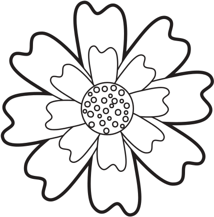 Aster Flower Natural Petal Decoration Image - Michael Gray Shazam Bio (550x550)