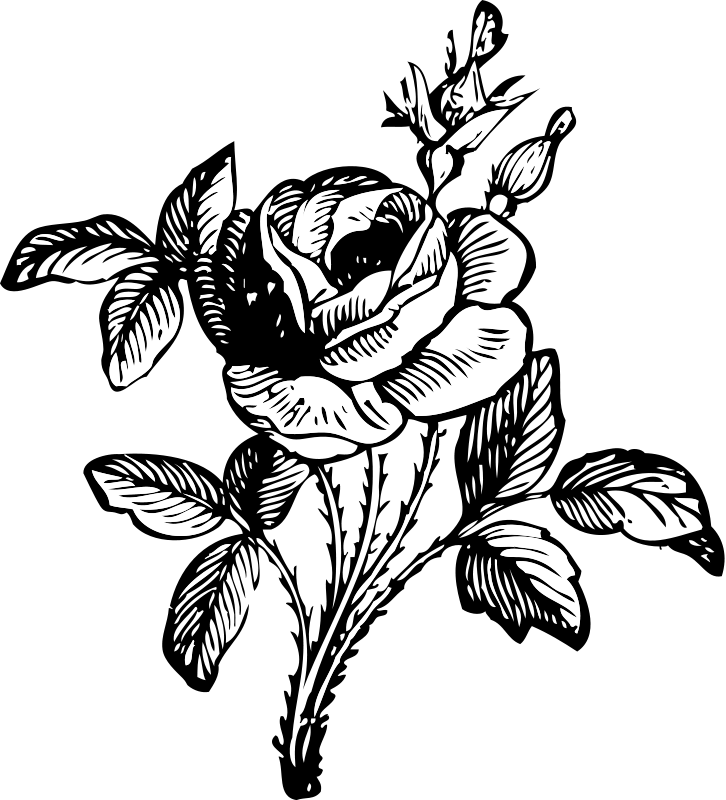 Tribal Tattoo With Rose Clip Art Download - Black And White Flower Png (726x800)