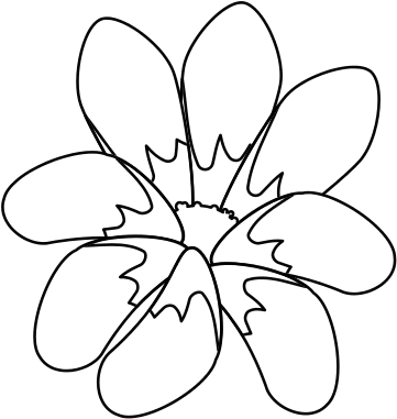 Tropical Flowers Design - Mrákotín (550x550)