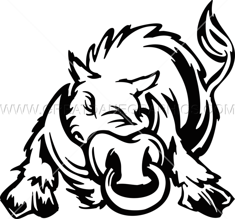 Warthog - Illustration (825x769)