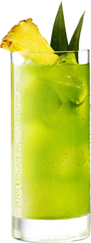 Cactus Juice Cocktail - Midori Cactus Juice (300x797)