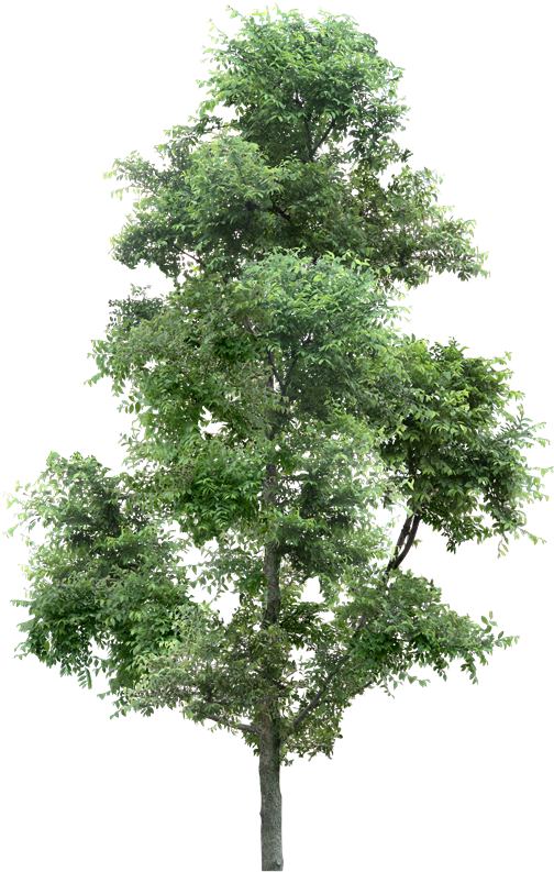 フォーエバー 21 札幌 (587x800)