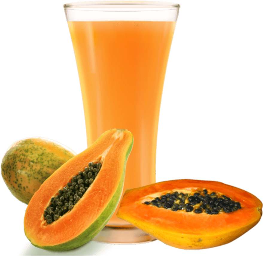Boppai Juice - Hirt's Gardens Tainung Papaya Tree - Carica Papaya (999x999)